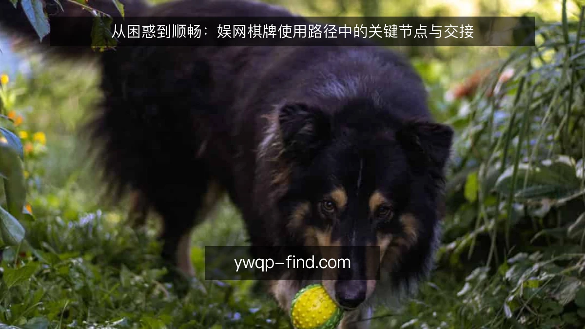 从困惑到顺畅:娱网棋牌使用路径中的关键节点与交接